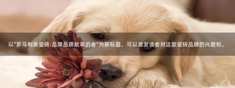 华润娱乐公司