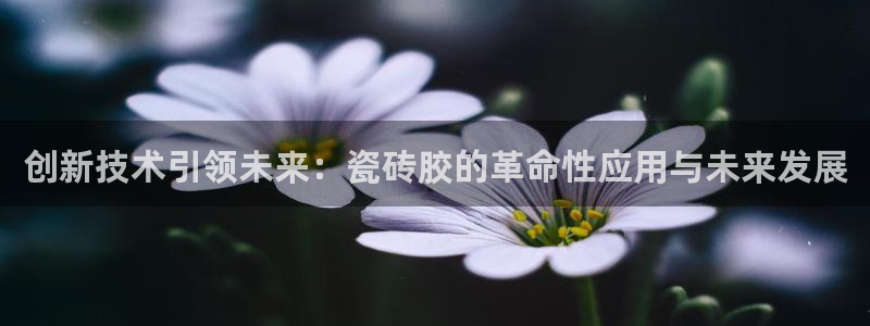 华润娱乐总代