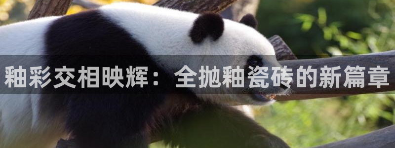 华润娱乐掖92222