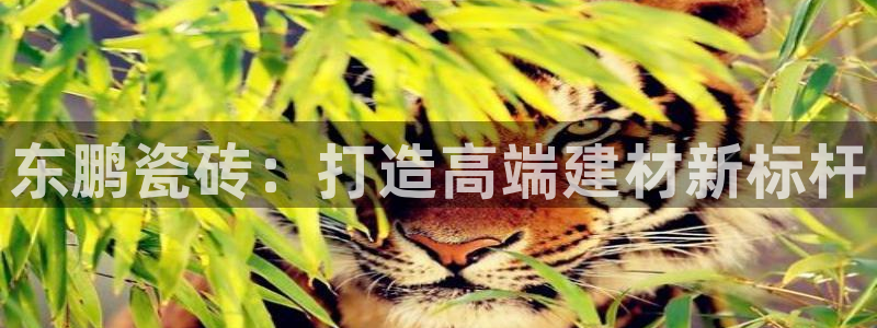 华润娱乐程判官21