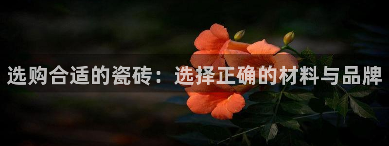 华润娱乐六柒五I38