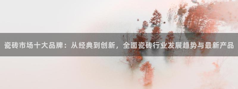 华润娱乐项目
