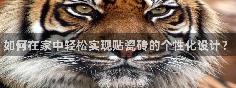华润娱乐总管48793