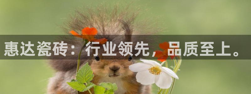 华润2娱乐qv382223