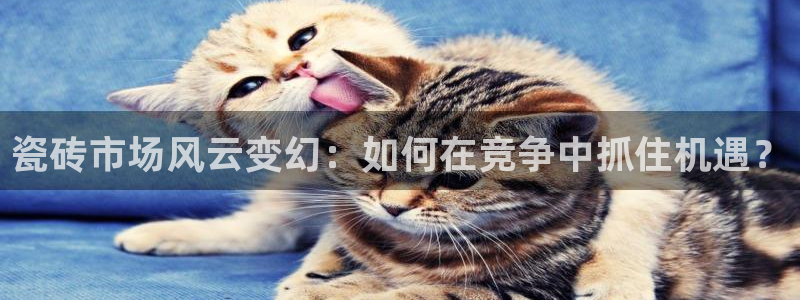 华润娱乐总管是谁