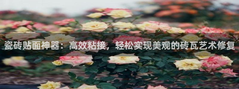 华润娱乐己 92222