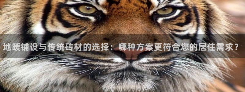 华润娱乐焕122222