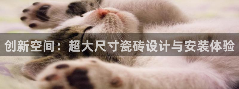 华润娱乐阂95692