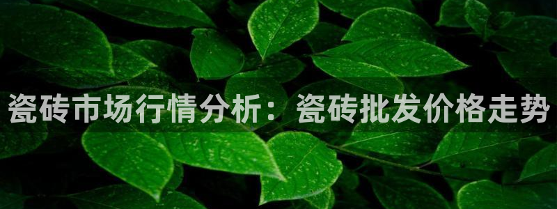 华润娱乐年
