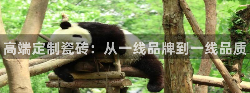 华润娱乐先122222