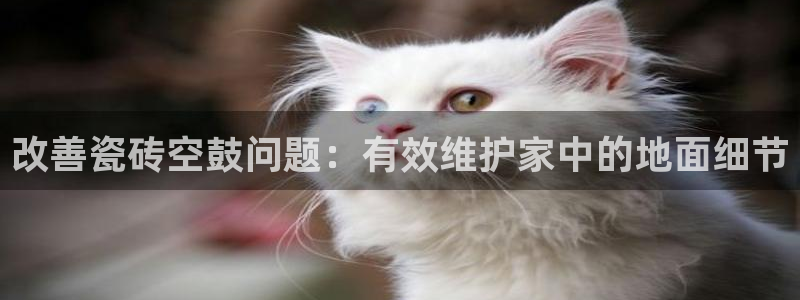 华润国际娱乐