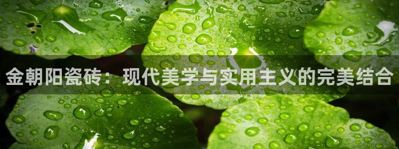 华润娱乐职122222