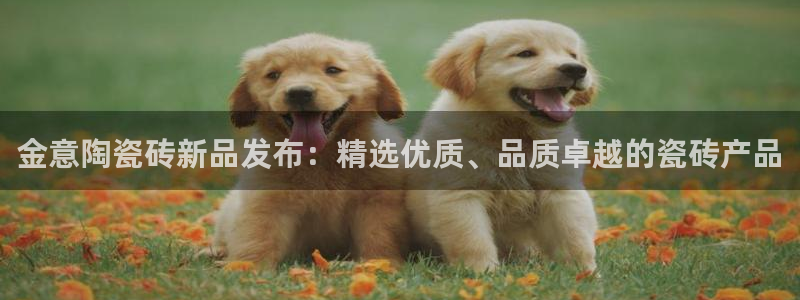 新会华润娱乐会所地址