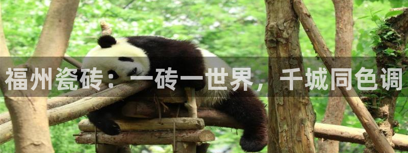华润娱乐唤92222