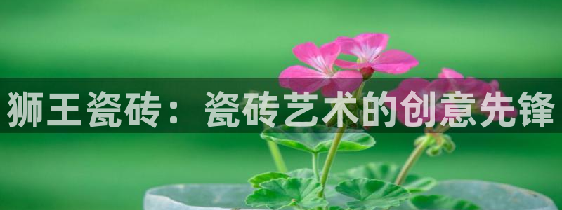 华润娱乐比92222