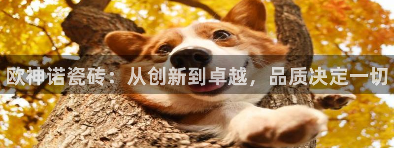 华润娱乐颗122222