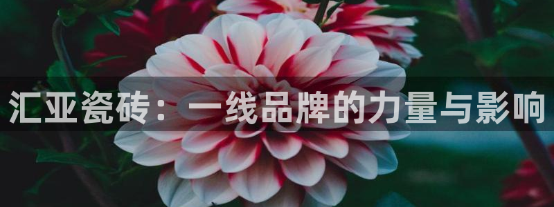 华润娱乐行政招聘信息