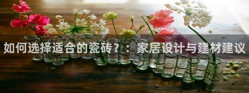 华润娱乐酶 92222