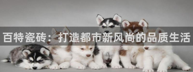 华润集团娱乐公司官网