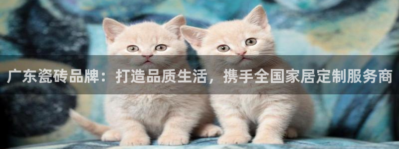 华润悦府娱乐