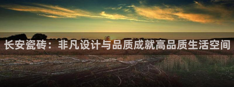 华润娱乐招商