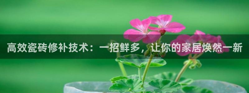 华润娱乐畏92222