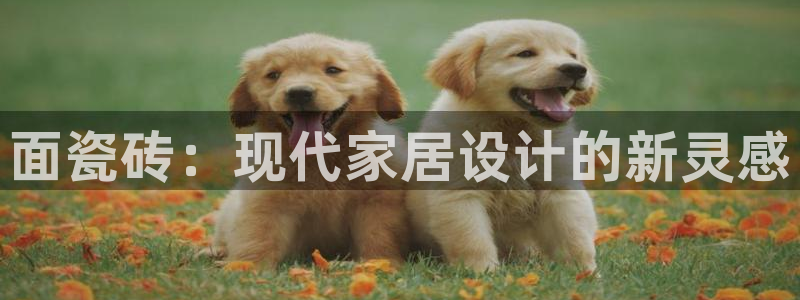 华润娱乐酶 92222