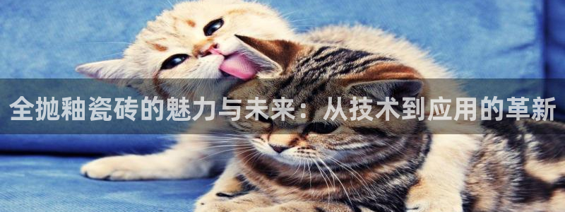 华润通休闲娱乐