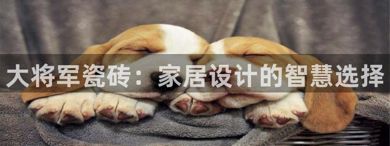 华润娱乐六七五一38