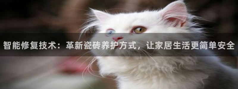 华润娱乐沂92222