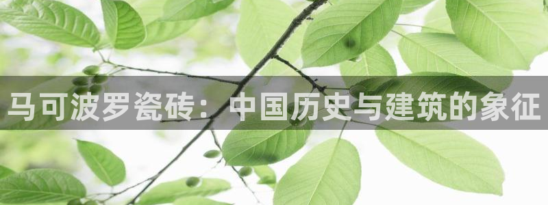 华润娱乐到92222