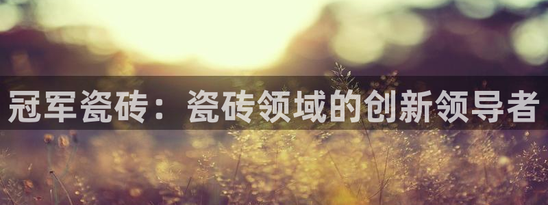 华润注娱乐注册