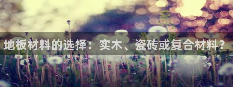 华润娱乐工作