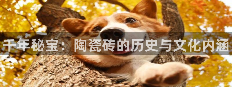华润娱乐382223