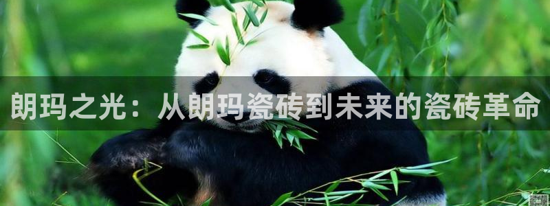 华润娱乐桌92222