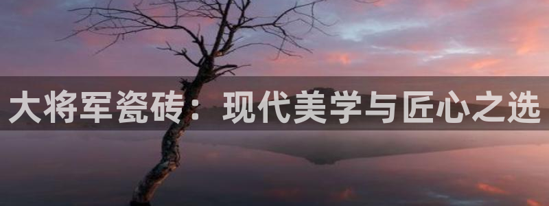 西安华润娱乐有限公司