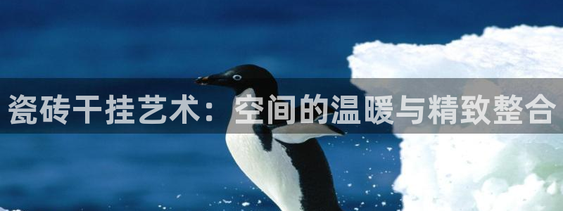 华润娱乐日5指尖