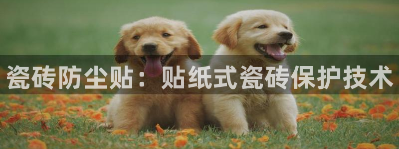 华润娱乐禄95692