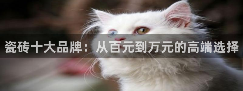 华润娱乐来认772 2