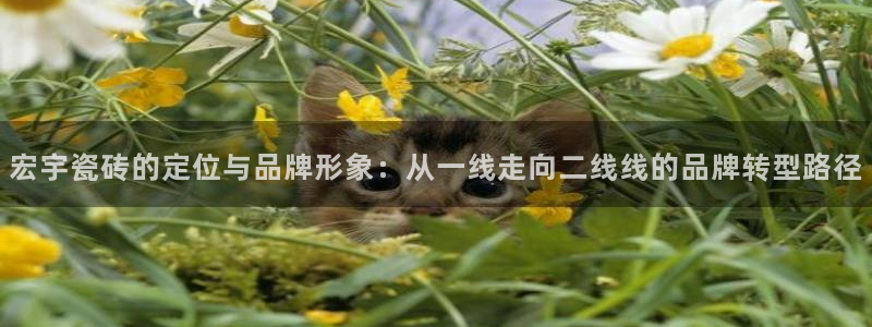 上海华润汇娱乐会所电话