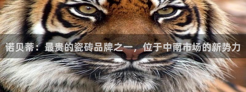 华润通积分娱乐大厅欢乐