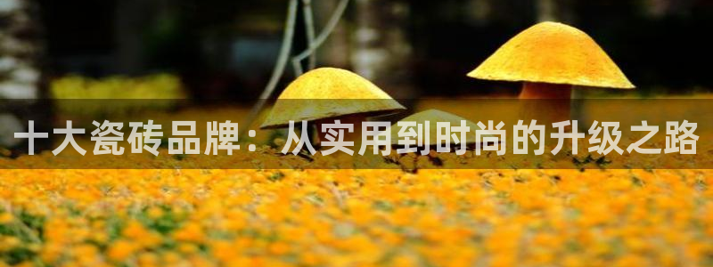 华润娱乐个67五壹叁八