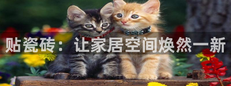 华润娱乐疗92222