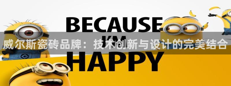 华润的娱乐项目