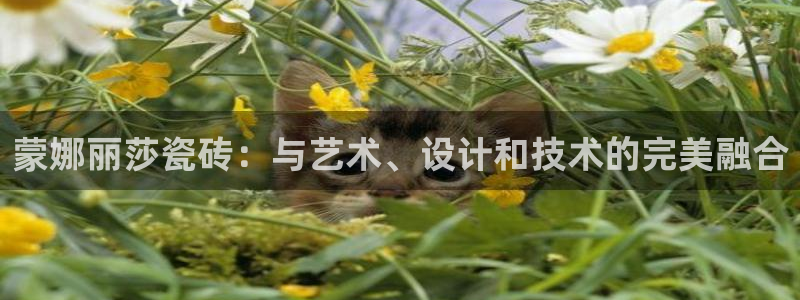 华润通积分娱乐大厅