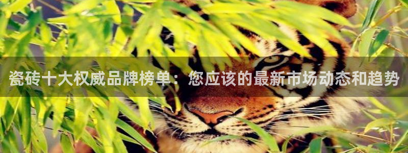 高州华润娱乐项目