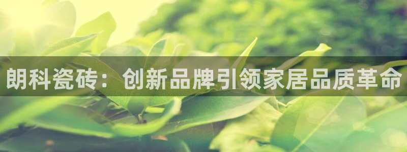 华润娱乐激灵系统