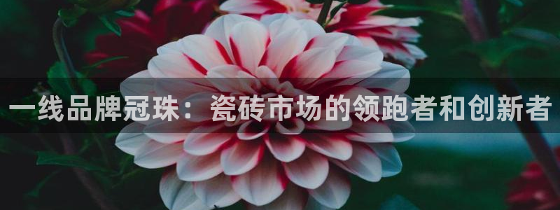 华润娱乐沼122222