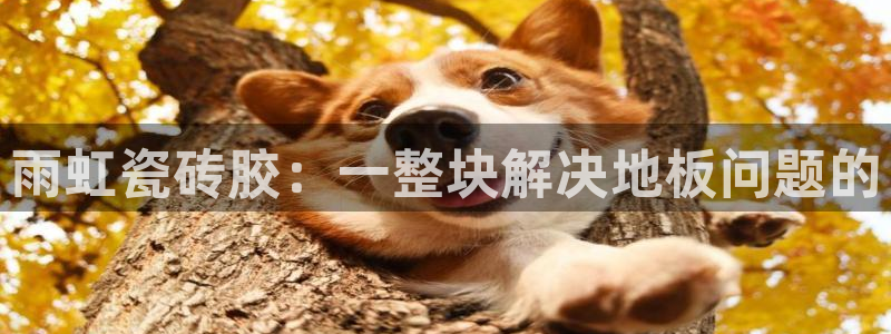 华润娱乐湛95692