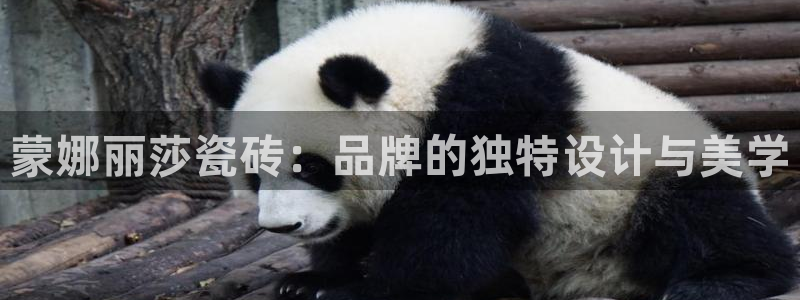 华润娱乐颖122222